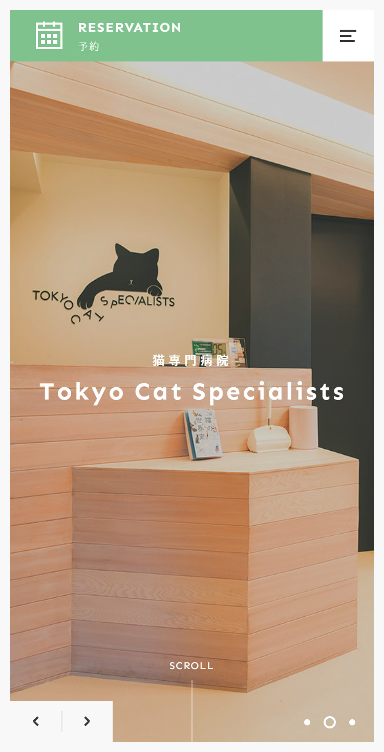 Tokyo Cat Specialists | 猫の専門病院