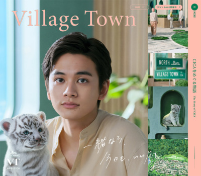 Village Town | VT COSMETICS