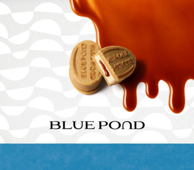 BLUE POND