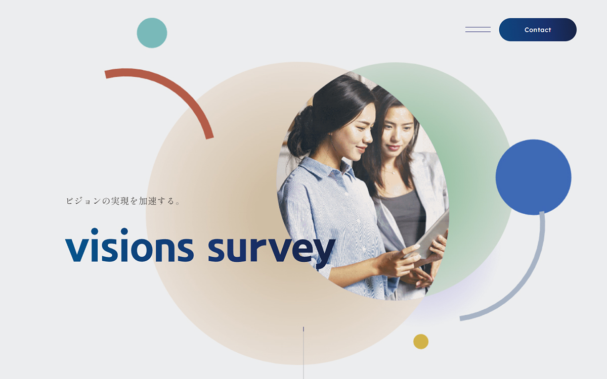 visions survey
