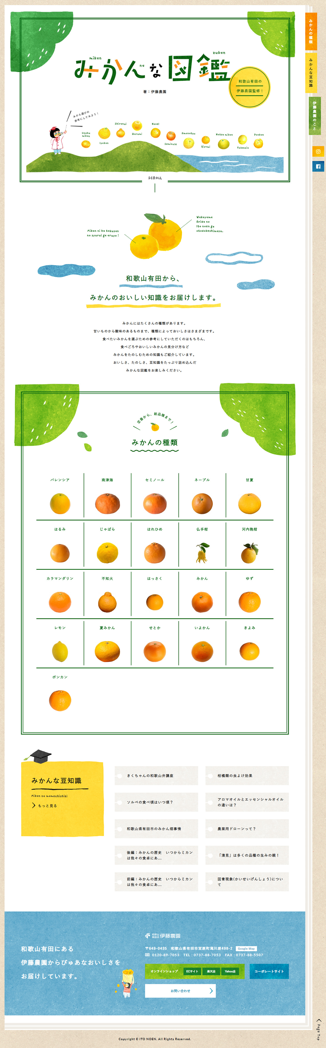 みかん･柑橘のことなら｢みかんな図鑑｣ | 伊藤農園